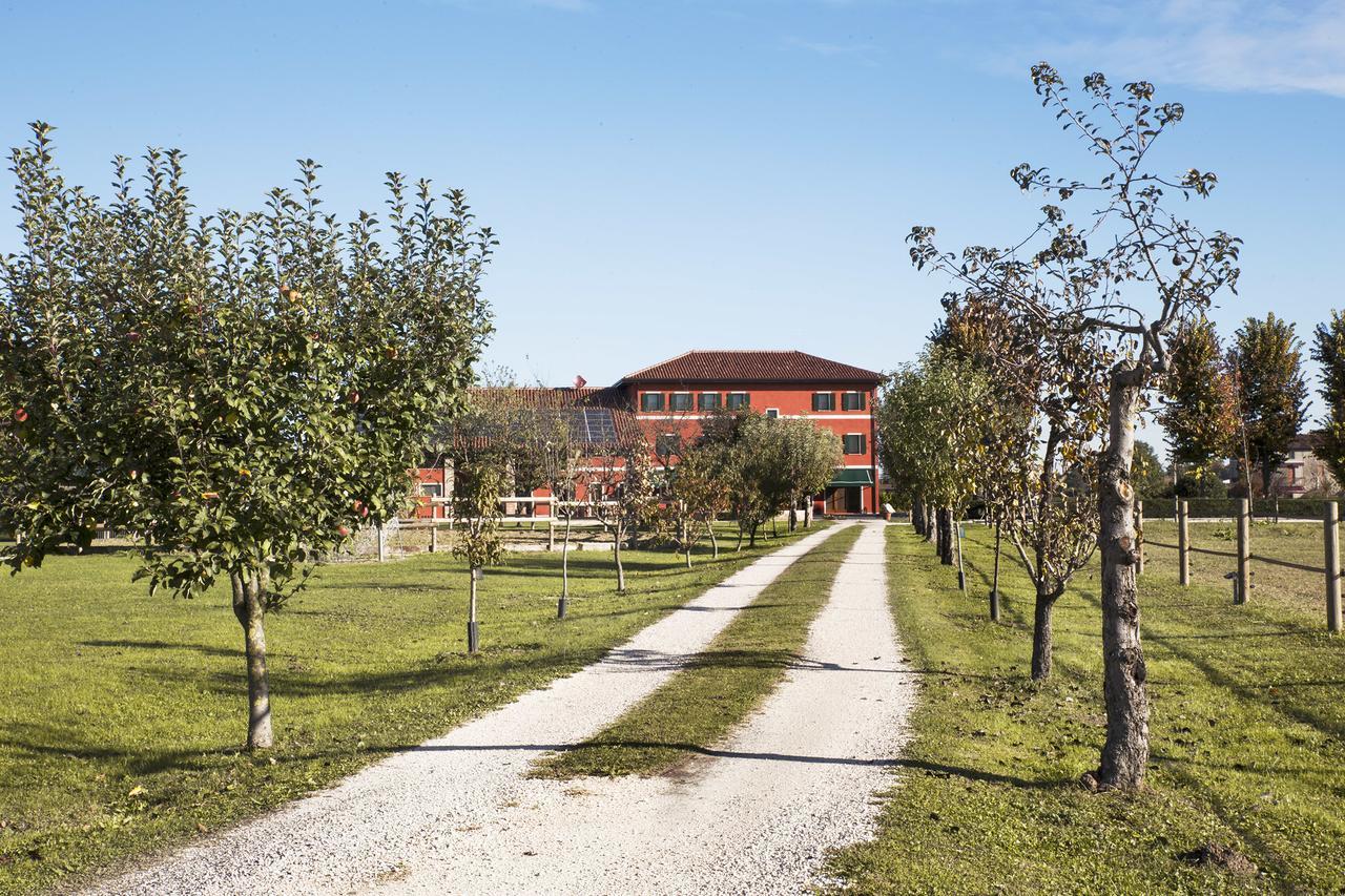 Ca' Ciaran Bed & Breakfast Chiarano Eksteriør bilde